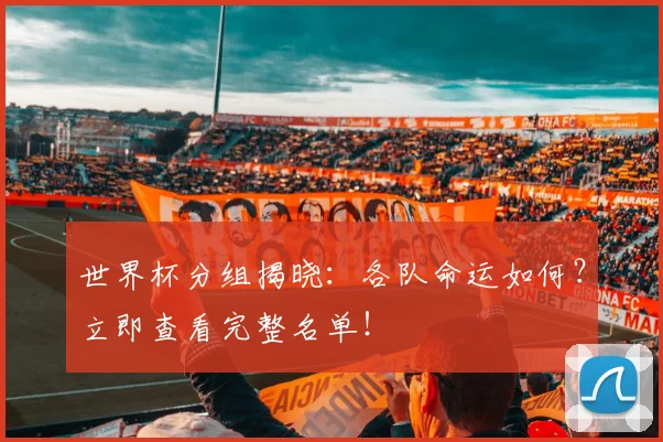 世界杯分组揭晓：各队命运如何？立即查看完整名单！
